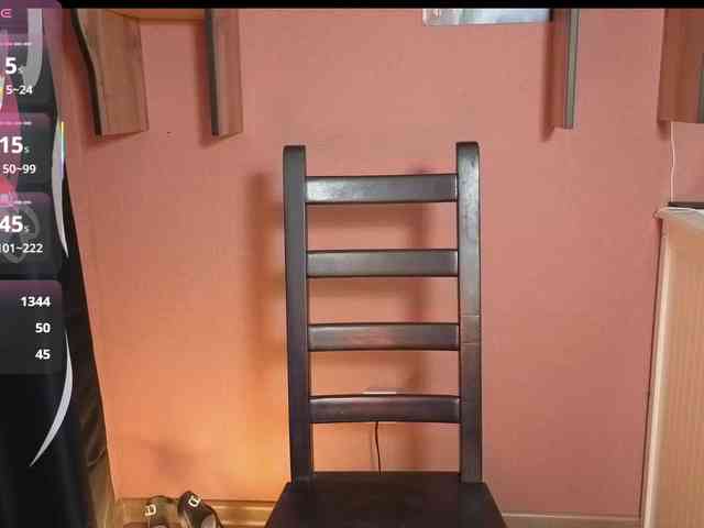 Blesstandem webcam