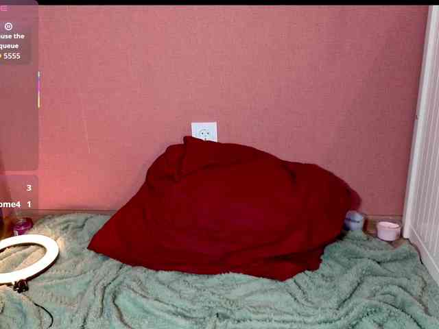 Blesstandem webcam