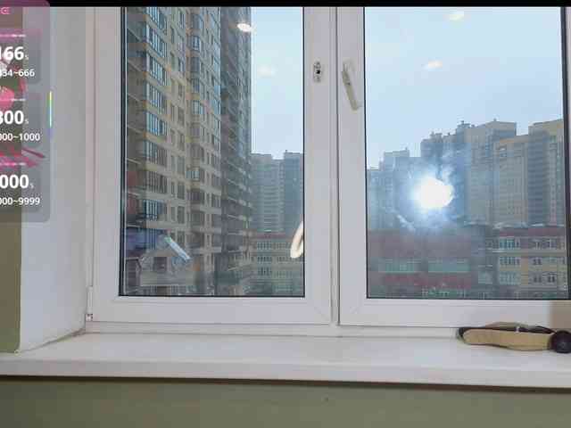 Blesstandem webcam