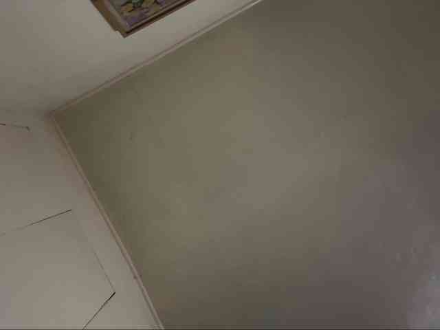 LilyBrazen webcam