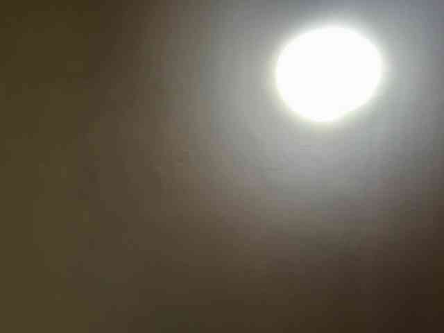 LilyBrazen webcam
