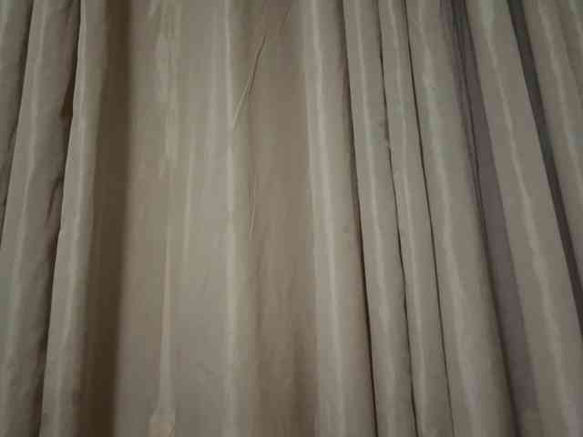 LilyBrazen webcam