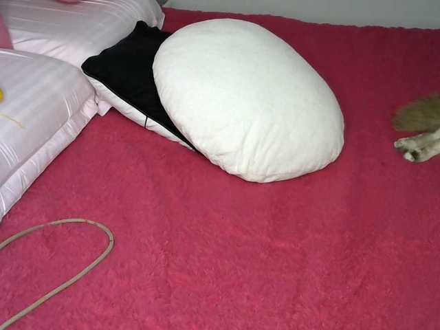 sexxyie