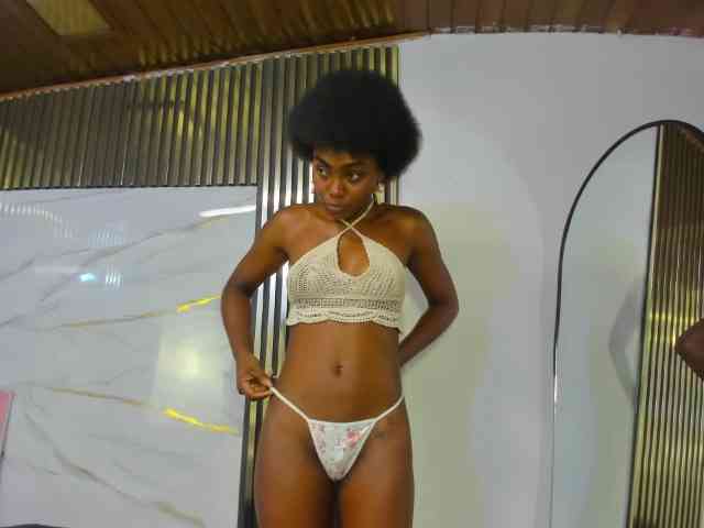 Ashazuri webcam