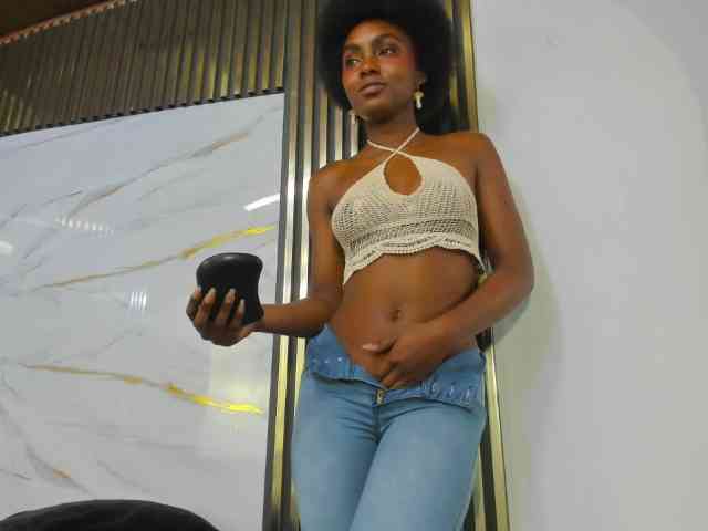 Ashazuri webcam
