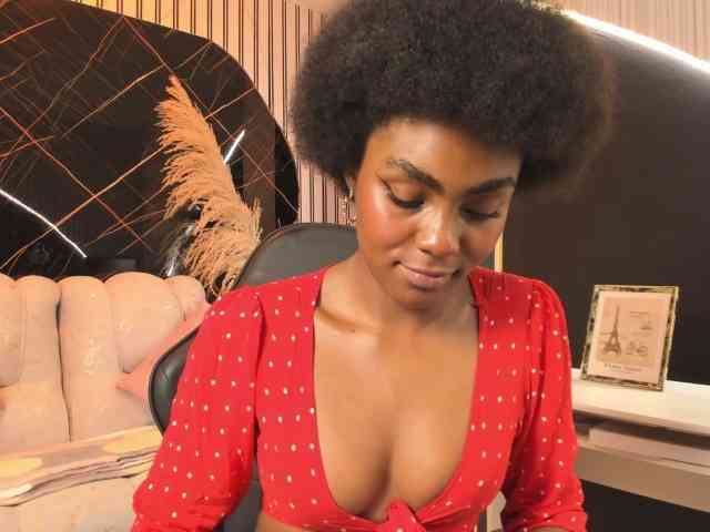 Ashazuri webcam