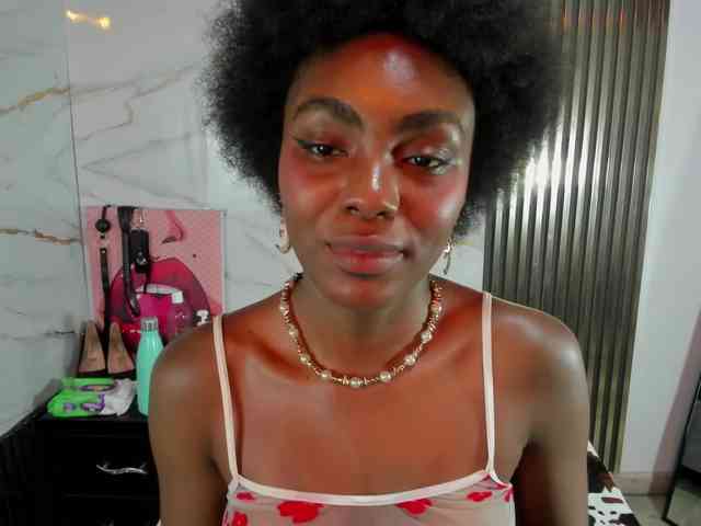 Ashazuri webcam