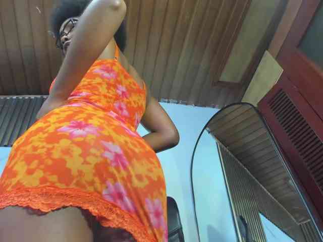 Ashazuri webcam