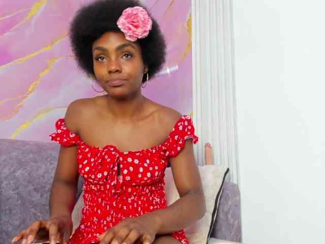 Ashazuri webcam