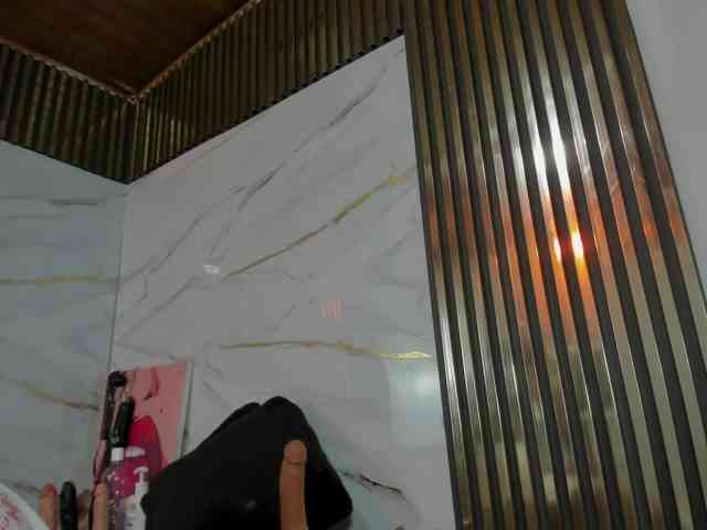 Ashazuri webcam