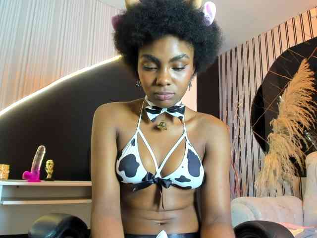 Ashazuri webcam