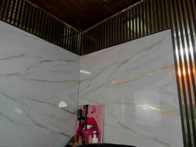 Ashazuri webcam