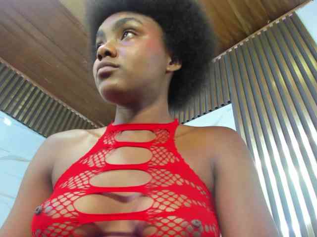 Modelo: Ashazuri