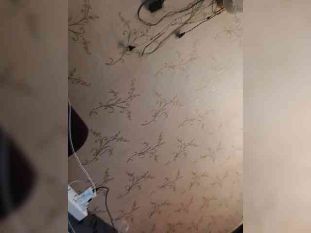 live cam room OlgaLargus