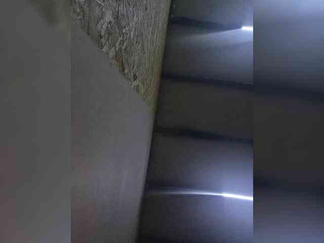 OlgaLargus webcam