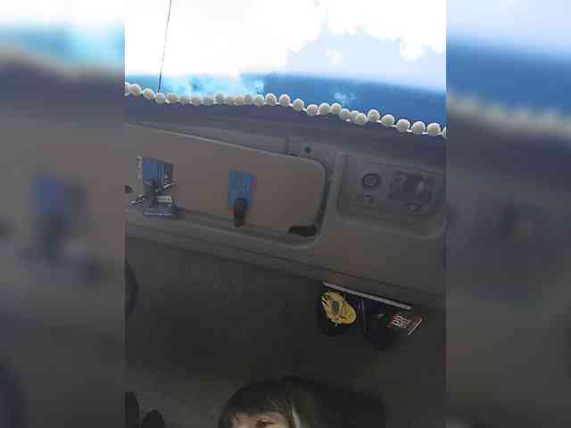 OlgaLargus webcam