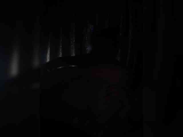OlgaLargus webcam