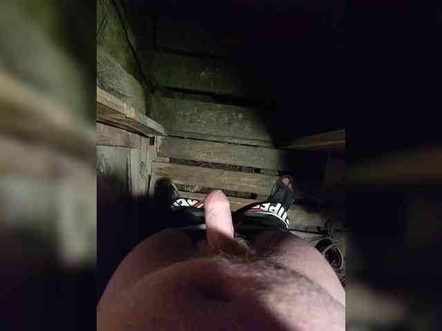 Vikvik23