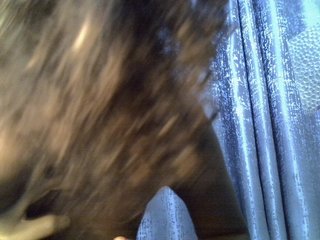 Live User Thumb