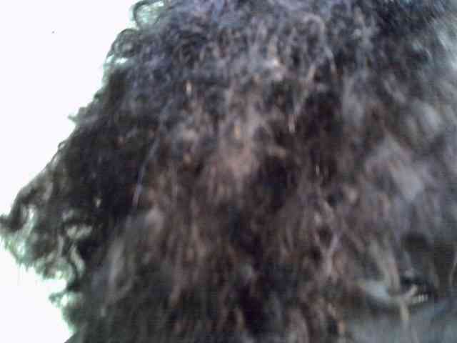 Sassyjuma webcam