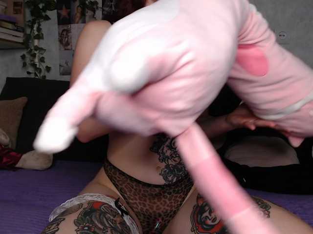 AmeliaRosea