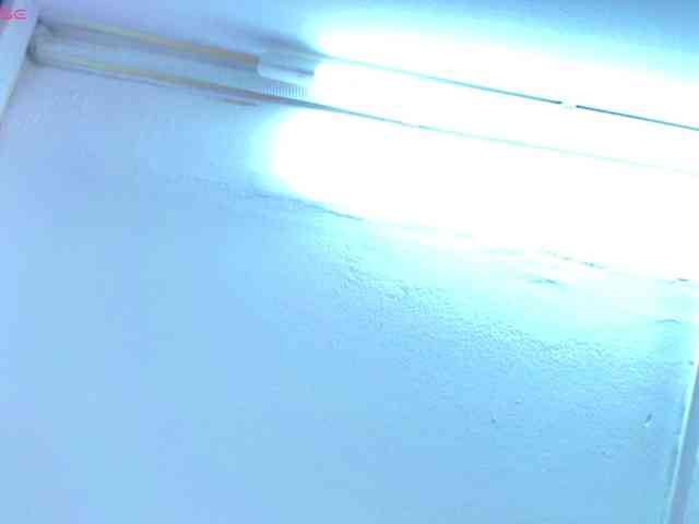 Kitty-meow webcam