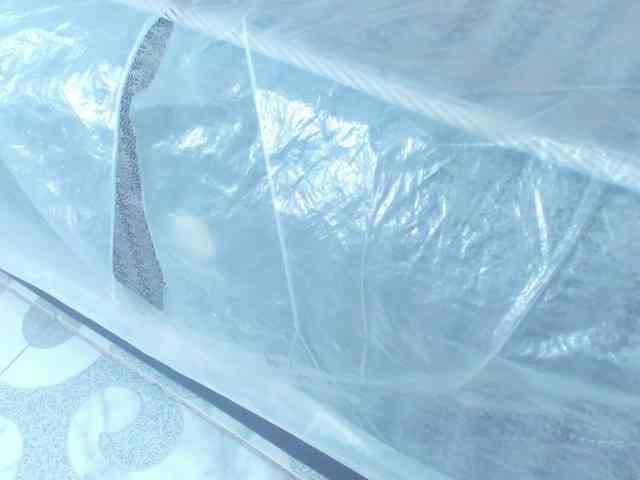 Daniela-Spencerr webcam