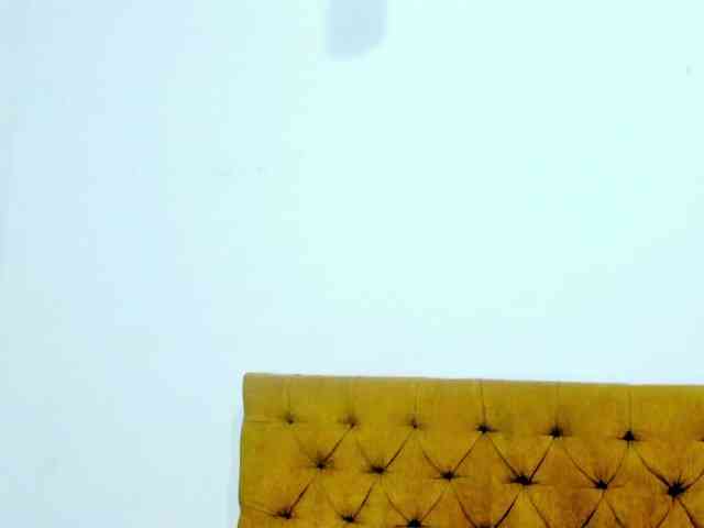 Daniela-Spencerr webcam