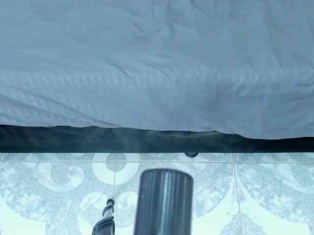 Daniela-Spencerr webcam