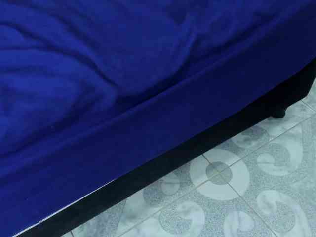 Daniela-Spencerr webcam