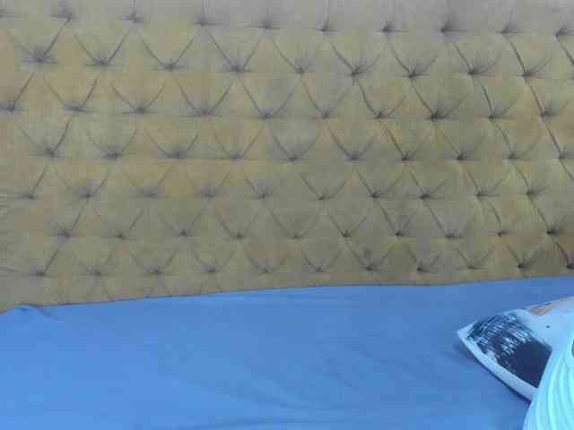 Daniela-Spencerr webcam
