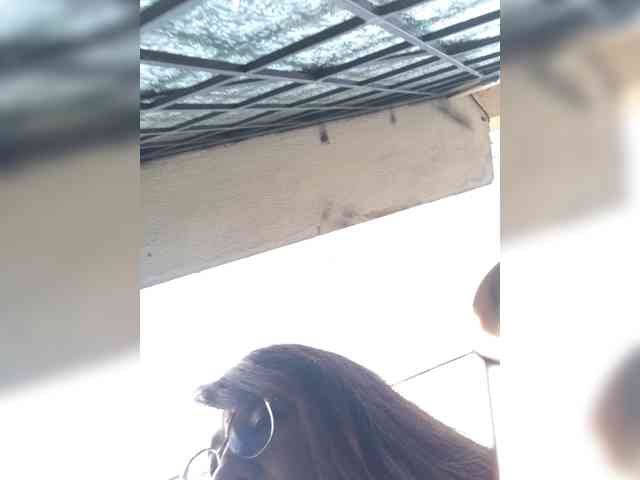 Mafe-29 webcam