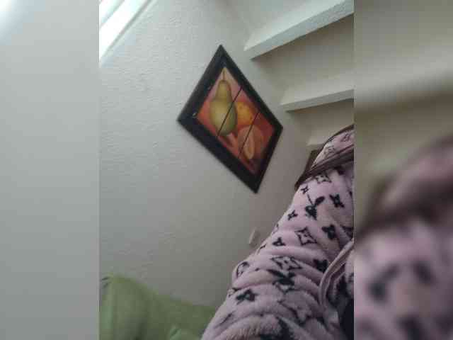 Mafe-29 webcam