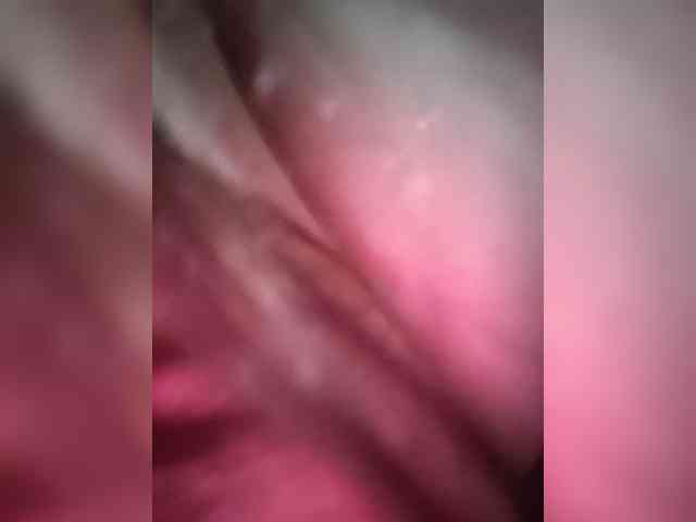 Mafe-29 webcam