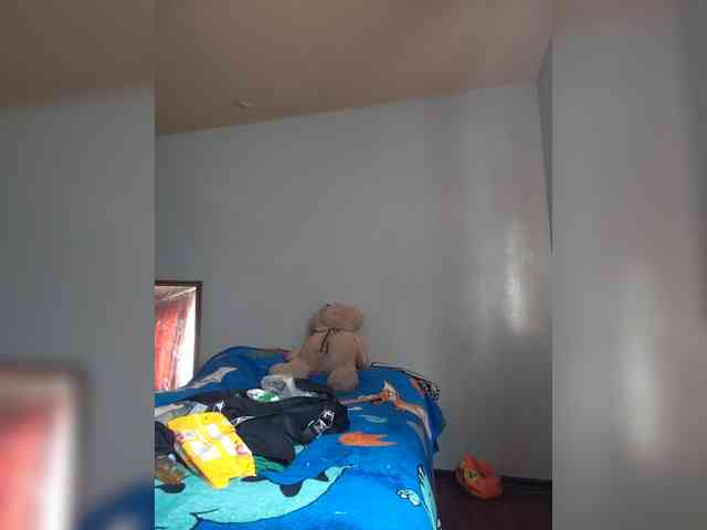 Mafe-29 webcam