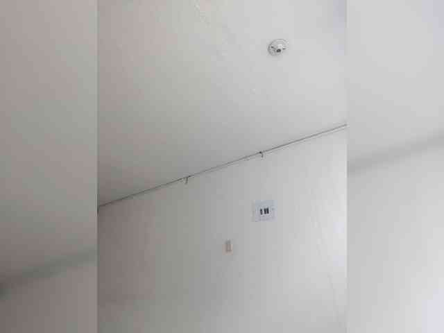 Mafe-29 webcam