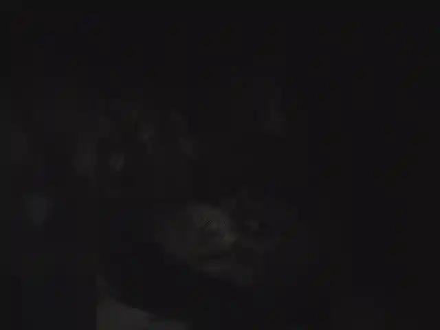Familycum0198