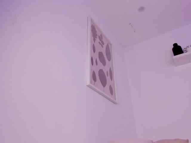 Artemiix webcam