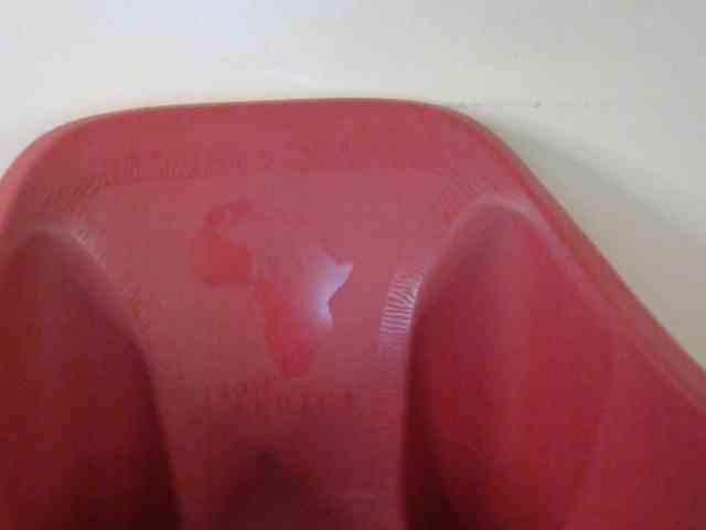 Sluttybitch1 webcam