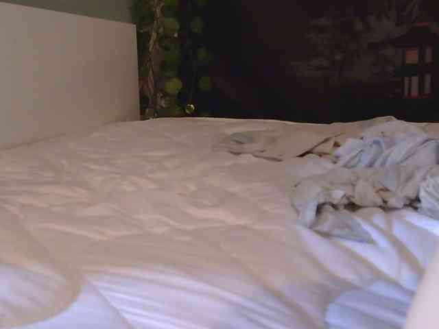 lina-361 Sex Cam Show