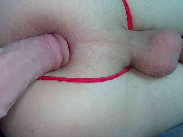 lina-361