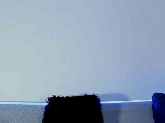Katnislove webcam