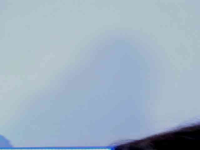 Katnislove webcam