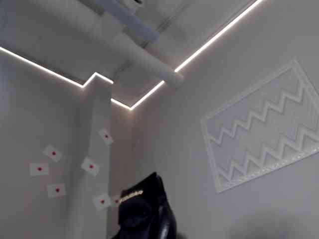 UliKop webcam