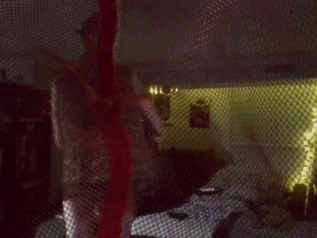 LiveLovar Sex Cam Show