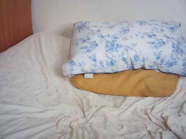 Suzyb webcam