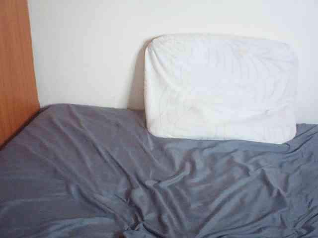 Suzyb webcam