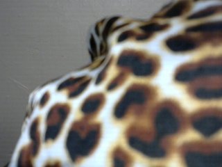 SinfulBitch01 Porn Show