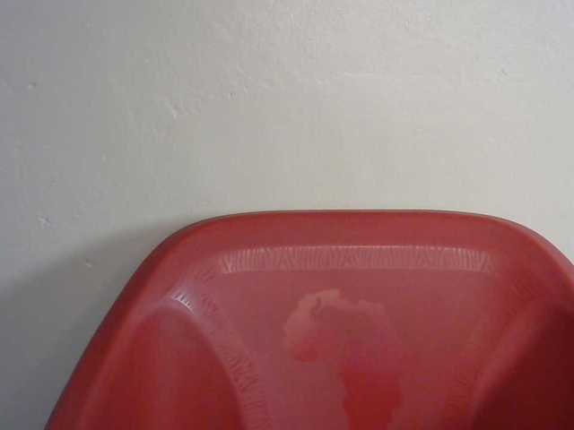 SinfulBitch01 live cam on BongaCams