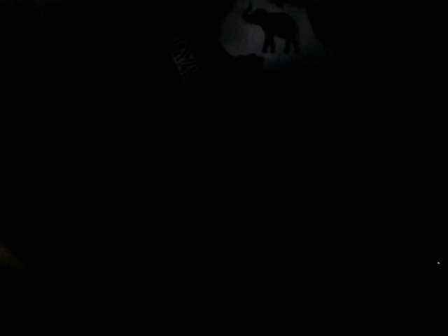 SinfulBitch01 live cam on BongaCams